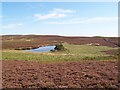 NU0921 : Pond on Bewick Moor near Nun Law summit by Geoff Holland