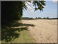 Damerham, ploughed field