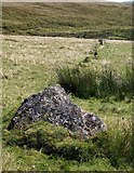 SX6366 : Upper Erme stone row by Derek Harper