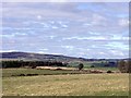 Cumbernauld, empty fields near Kilt