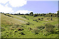 Dry valley south of Letcombe Bassett