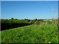 Crew Road at Ballinarry