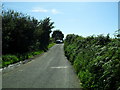 Bishops Court Road, Ballyorgan