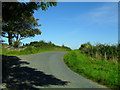 Bishops Court Road, Ballyorgan