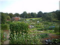 Gorge Road allotments, Sedgley