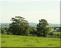 2009 : Pasture land near Windmill Farm