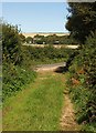 Bridleway near Beeson Pool