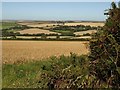 Farmland near Moyson