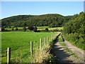 Track in the Holnicote estate