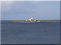 NU2904 : Coquet Island by Ian Cardinal
