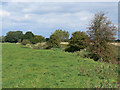 The west bank of the River Ray near the Swindon and Cricklade Railway, Blunsdon