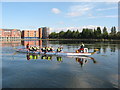 Dragon Boat racing, on Bute East Dock