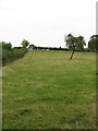 Footpath At Gattertop Farm