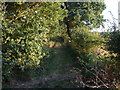 Entrance to North Cliffe Wood Nature Reserve