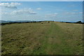 Nine Barrow Down, Dorset