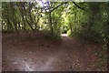 Footpath junction on a byway