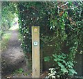 Tunbridge Wells Circular Path  waymarker by the entrance to Nevill Golf Course, Benhall Mill Rd