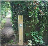 TQ5937 : Tunbridge Wells Circular Path  waymarker by the entrance to Nevill Golf Course, Benhall Mill Rd by N Chadwick