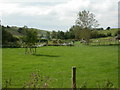 Poundbury, allotments & goats