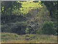 Stile and gate beside the Egel river