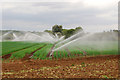 SP3966 : Irrigating onions near Snowford Bridge by Andy F