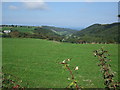 Field above Nant  - y - Groes valley