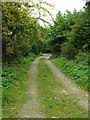 Footpath - Bruntcliffe Road