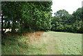 Tunbridge Wells Circular path follows a field edge east of Park Corner