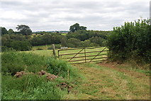 TQ5335 : Gate by the Tunbridge Wells Circular Path near Forge Farm by N Chadwick