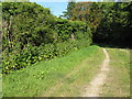 Perimeter wall of Warnham Manor