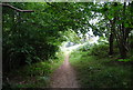 Tunbridge Wells Circular Path - exiting Toll Wood