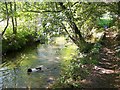 River Nadder, Tisbury