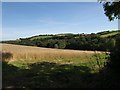 Field near Frogmill