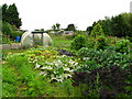 Allotment Gardens, Sowerby