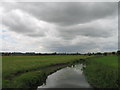 River Thame, from the Bridge at Eythrope (View SW)