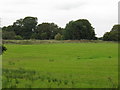 Railway Line From Breach House Lane