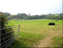 SX8076 : Fields Near Langaller Farm by Ian James Cox