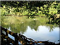 Bovey Tracey Pottery Pond