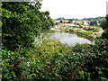 Bovey Tracey Disused Quarry