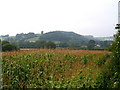 Farmland near Langaller Farm