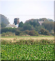 View towards Stokesby Towermill