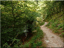 SS8632 : Exmoor : Riverside Path & Tarr Steps Woods by Lewis Clarke