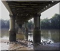 Under the railway bridge at Strand on the Green