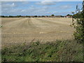 Harvested field at Saltney