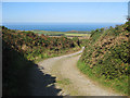 Track to Tan-y-mynydd