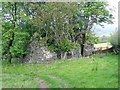 Ruin on farm track below Clogau bach