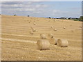 Round bales