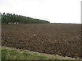 Huttoft - Jolly Common Lane view of ploughed land