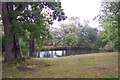 Bettenham Manor Pond