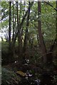 Stream in Little Ommerden Wood